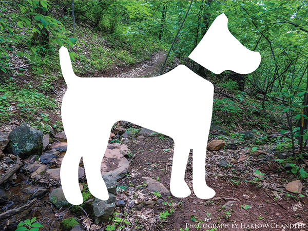 Hiking trail with dog icon